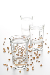 German hard liquor Korn Schnapps in shot glasses with wheat grains