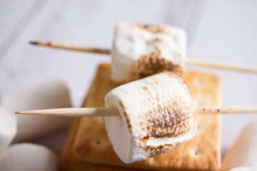 Smores dessert ingredients. Picnic or camp concept. Homemade S'more with chocolate and marshmallow on cracker.