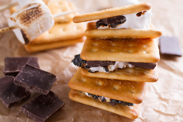 Smores dessert ingredients. Picnic or camp concept. Homemade S'more with chocolate and marshmallow on cracker.