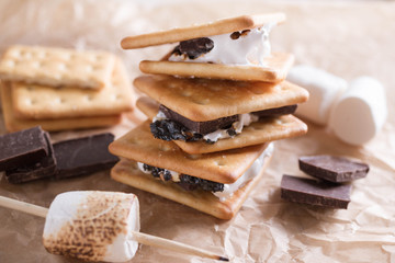 Smores dessert ingredients. Picnic or camp concept. Homemade S'more with chocolate and marshmallow on cracker.