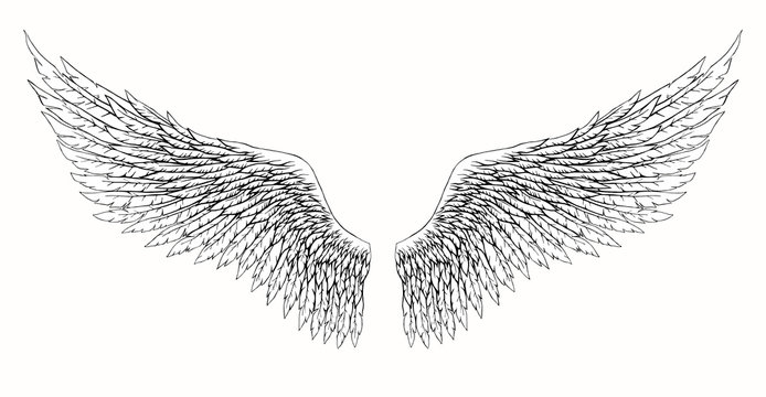 Wings Of Angel