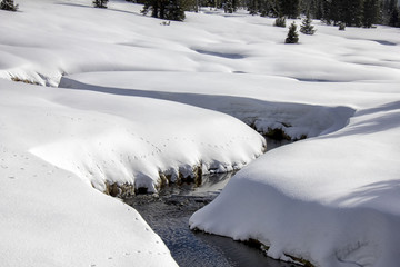 Modrava brook. Winter landscape. Breznik, National Park Sumava, Czech Republic.