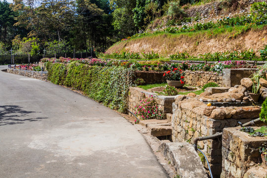 Garden of Adisham monastery near Haputale, Sri Lanka