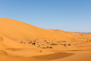 Fototapeta na wymiar Dunes of Erg Chebbi, Sahara Desert Morocco