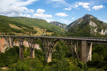 Fototapeta na wymiar big bridge in Montenegro across the river