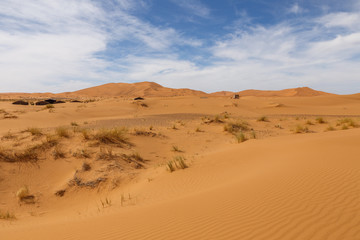 Fototapeta na wymiar Dunes of Erg Chebbi, Sahara Desert Morocco.