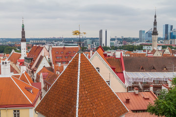 Obraz premium Roofs of Tallinn Old Town, Estonia