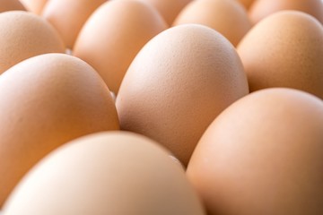 Macro picture of an eggs in the tray
