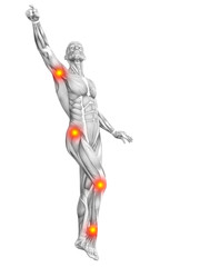 Conceptual human muscle anatomy with red and yellow hot spot inflammation or articular joint pain for health care therapy or sport concepts. 3D illustration man arthritis or bone osteoporosis disease