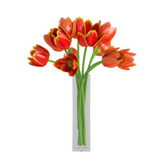 Decorative Tulips in transparent glass vase isolated on white background. 3D Rendering, Illustration.