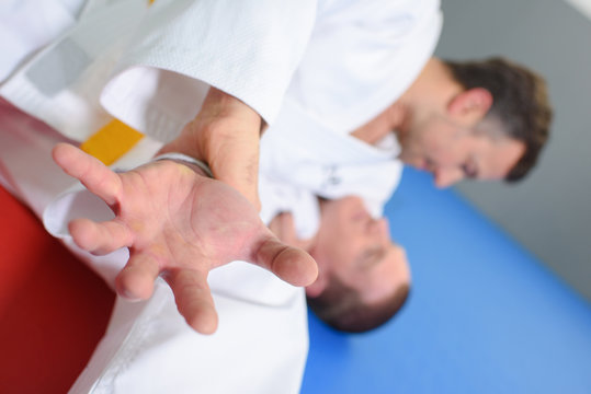 two men on a judo mat