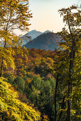 view of Bezděz castle in autumn landscape