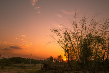 Fototapeta na wymiar countryside,sunset background.