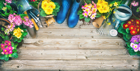 Frühling, Garten, Gartenarbeit, Gartenwerkzeug, Blumen, Hintergrund