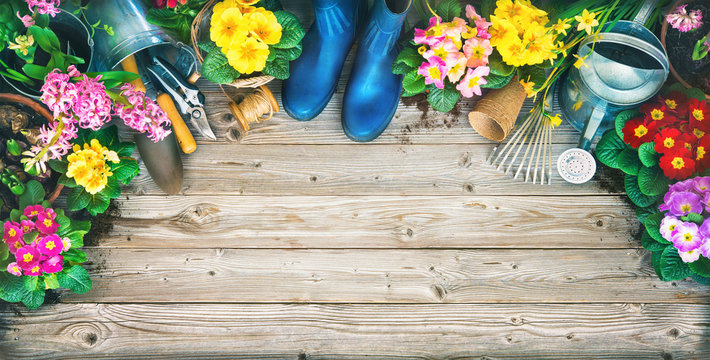 Fr&uuml;hling, Garten, Gartenarbeit, Gartenwerkzeug, Blumen, Hintergrund