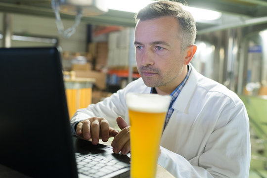 brewer working with laptop at the manufacturing