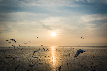Sunset view Bangpu Recreation Center, Thailand