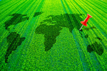 Red Pins on Grass World Map, Pinned on Thailand