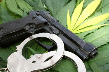 Forbidden marijuana plant concept. Hemp leaves and pistol with handcuffs.