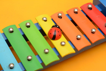 Closeup of xylophone with ladybird on top