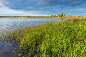 beautiful lake on a sunny summer day, rural landscape