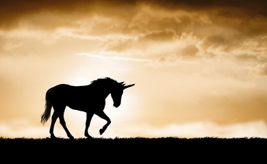 Unicorn silhouette at sunset © ginettigino