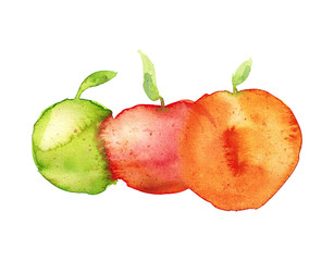 Watercolor hand drawn sketch illustration of red, yellow and green apples isolated on white art