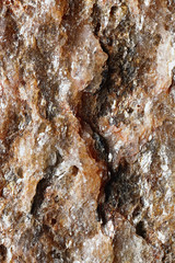 Extremely  near closeup of a deeply  structured stone 