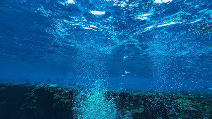 many air bubbles rise from the bottom of the sea