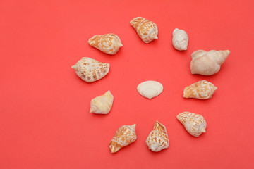 Set of Sealshells in circle on red background
