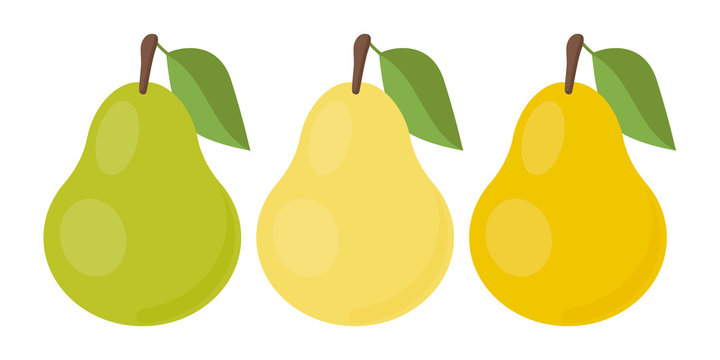 Vector pear. Set icons. Vector illustration.