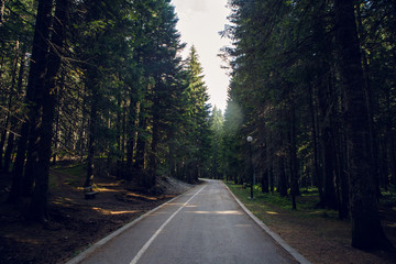 Fototapeta na wymiar dark morning pedestrian road to the forest in Montenegro
