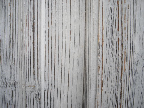 wood legno