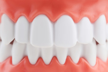 Obraz premium Teeth model background