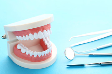 Fototapeta na wymiar Teeth model with dental tools on blue background