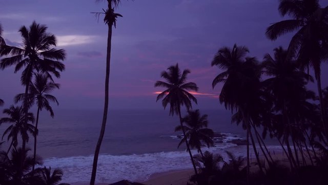 view of a beautiful sunset by the ocean with palm trees in the evening