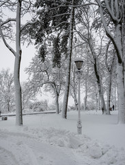 Park in cloudy weather after a snowfall. Lamp. Trees. Snow