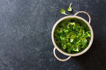 Lettuce corn in the colander over black stone background © annata78