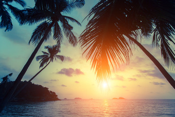 Fototapeta na wymiar Silhouettes of palm trees on the tropical sea beach at sunset.