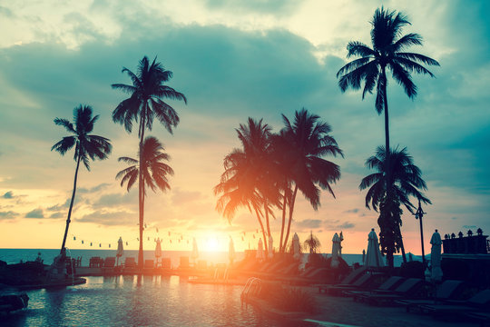 Palm trees silhouettes on a tropical sea beach during sunset.