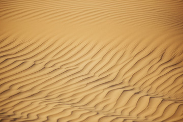 Ripples on the sand in Dubai desert
