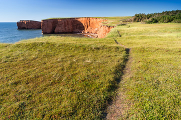 Pathway Along Red Sandstone Cliffs
