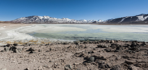 Laguna Blanca (White lagoon) and Licancabur volcano, Bolivia. Beautiful bolivian panorama.