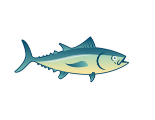 Simple and claan salmon fish vector illustration. 