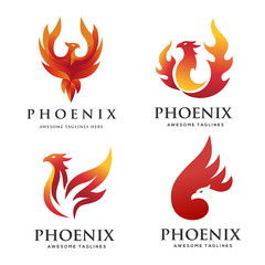luxury phoenix logo concept, best phoenix bird logo design, phoenix vector logo,creative logo of mythological bird , a unique bird , a flame born from ashes