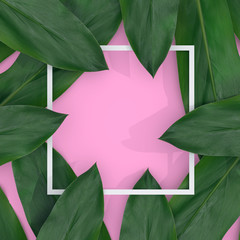 Green leaf with frame paper on pink pastel background. 