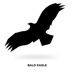 bald eagle silhouette