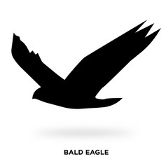 bald eagle silhouette