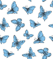 Fototapeta na wymiar Butterfly. Vector drawing