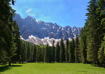 Die " M&auml;rchenwiese" am Ende des Bodentales / S&uuml;dk&auml;rnten / &Ouml;sterreich